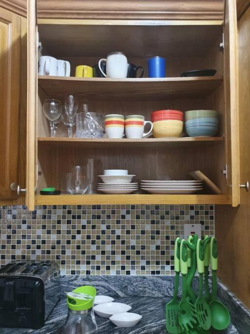 Central Upscale New Kingston Apt With Pool מראה חיצוני תמונה