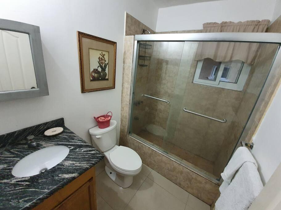 Central Upscale New Kingston Apt With Pool מראה חיצוני תמונה