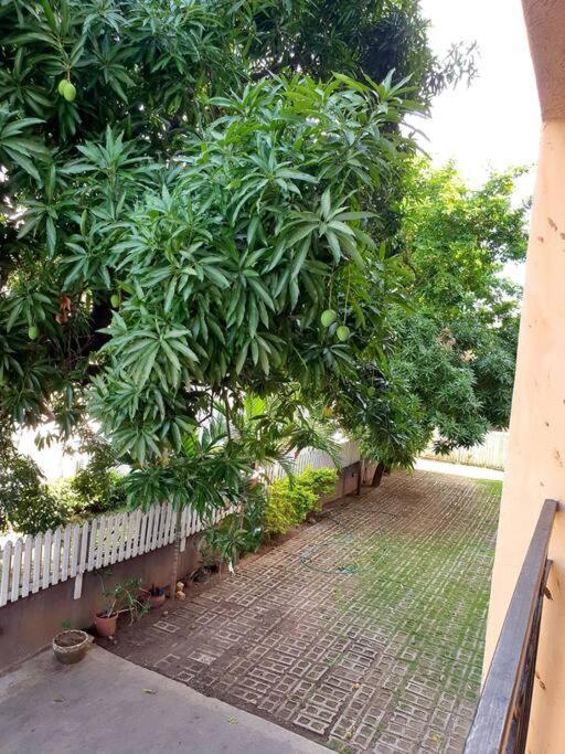 Central Upscale New Kingston Apt With Pool מראה חיצוני תמונה